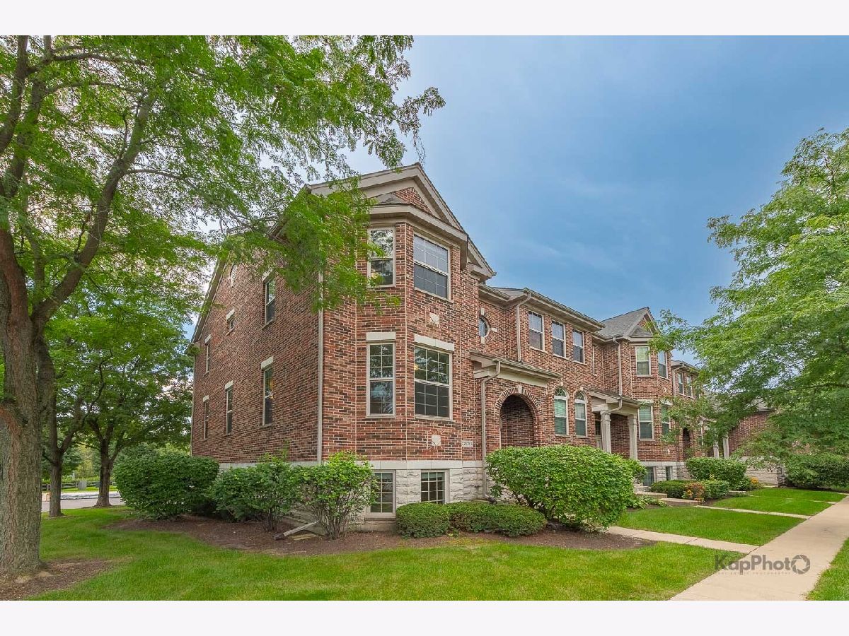 Townhomes For Sale Shelburne Farms Winfield Illinois, 27W708 Meadowview Drive