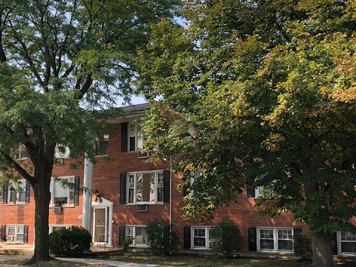  Rented Brookfield Illinois, 3404 Maple