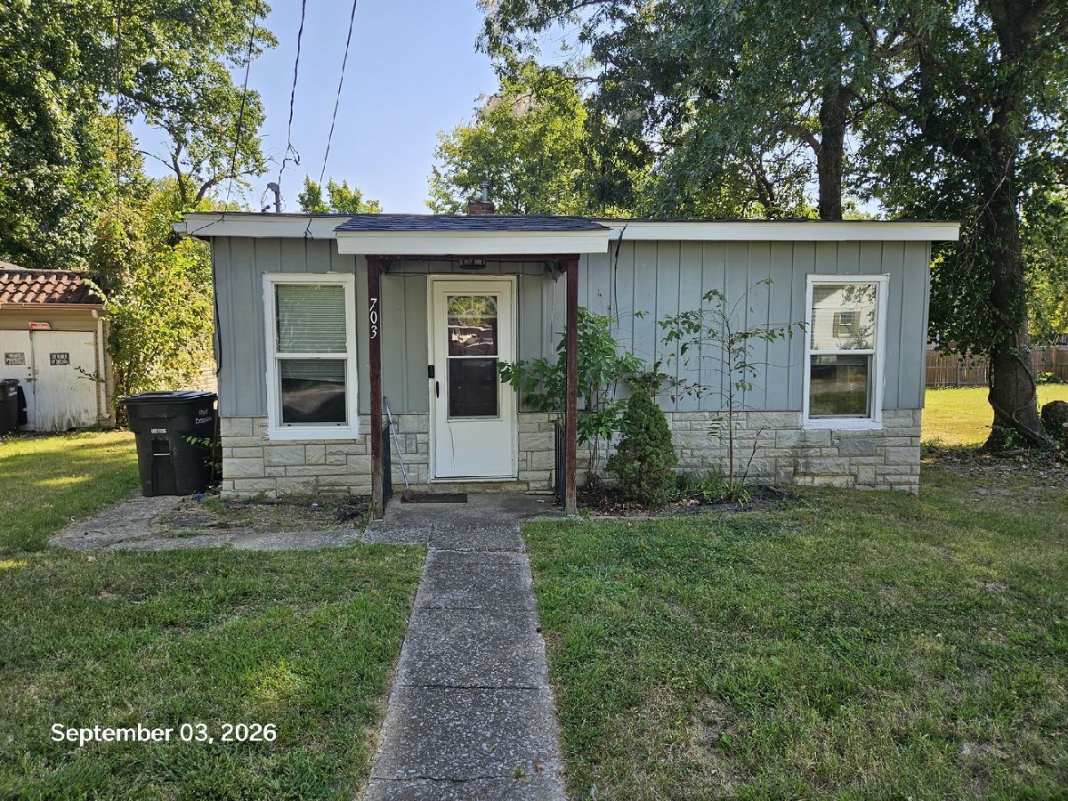  For Sale Carbondale Illinois, 703 James Street