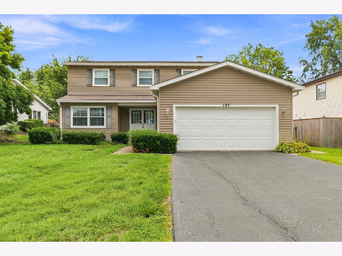 Townhomes & Condos & Homes For Sale Bartlett Green Bartlett Illinois, 107 Elroy Avenue