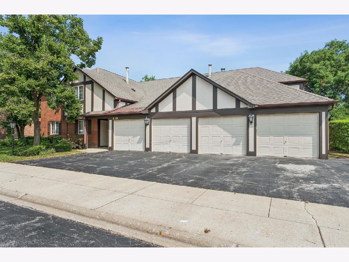  For Sale Willowbrook Illinois, 230 Windsor Lane
