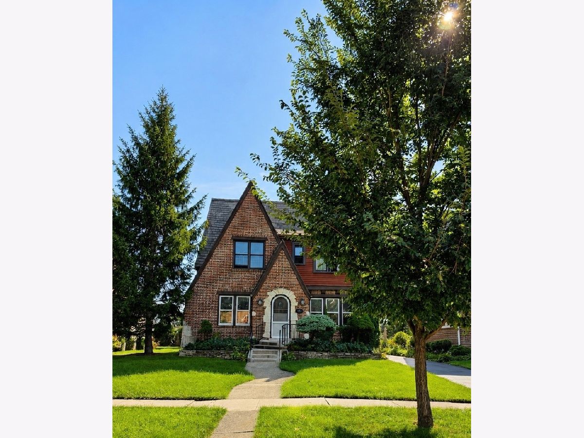 Homes For Sale Park Ridge Park Ridge Illinois, 221 East Avenue
