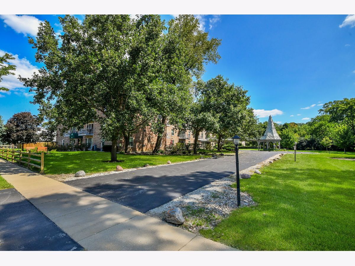  For Rent Downers Grove Illinois, 5125 Blodgett