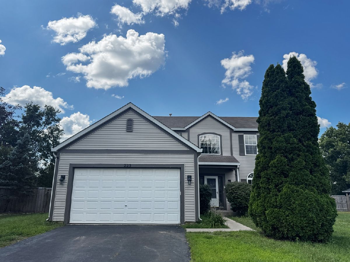 Homes For Sale Arbor Gate Oswego Illinois, 223 Paradise Parkway