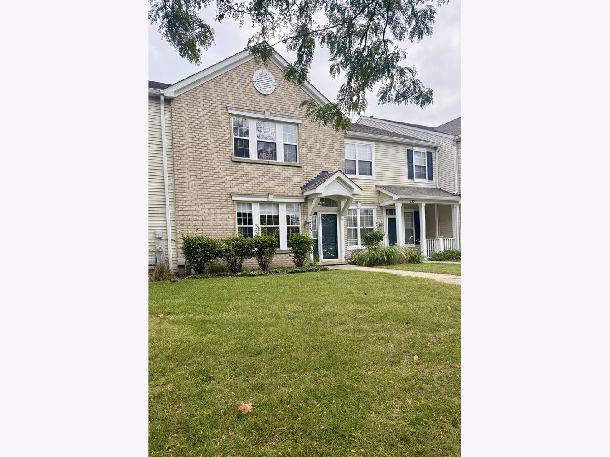  For Rent Oswego Illinois, 273 Springbrook