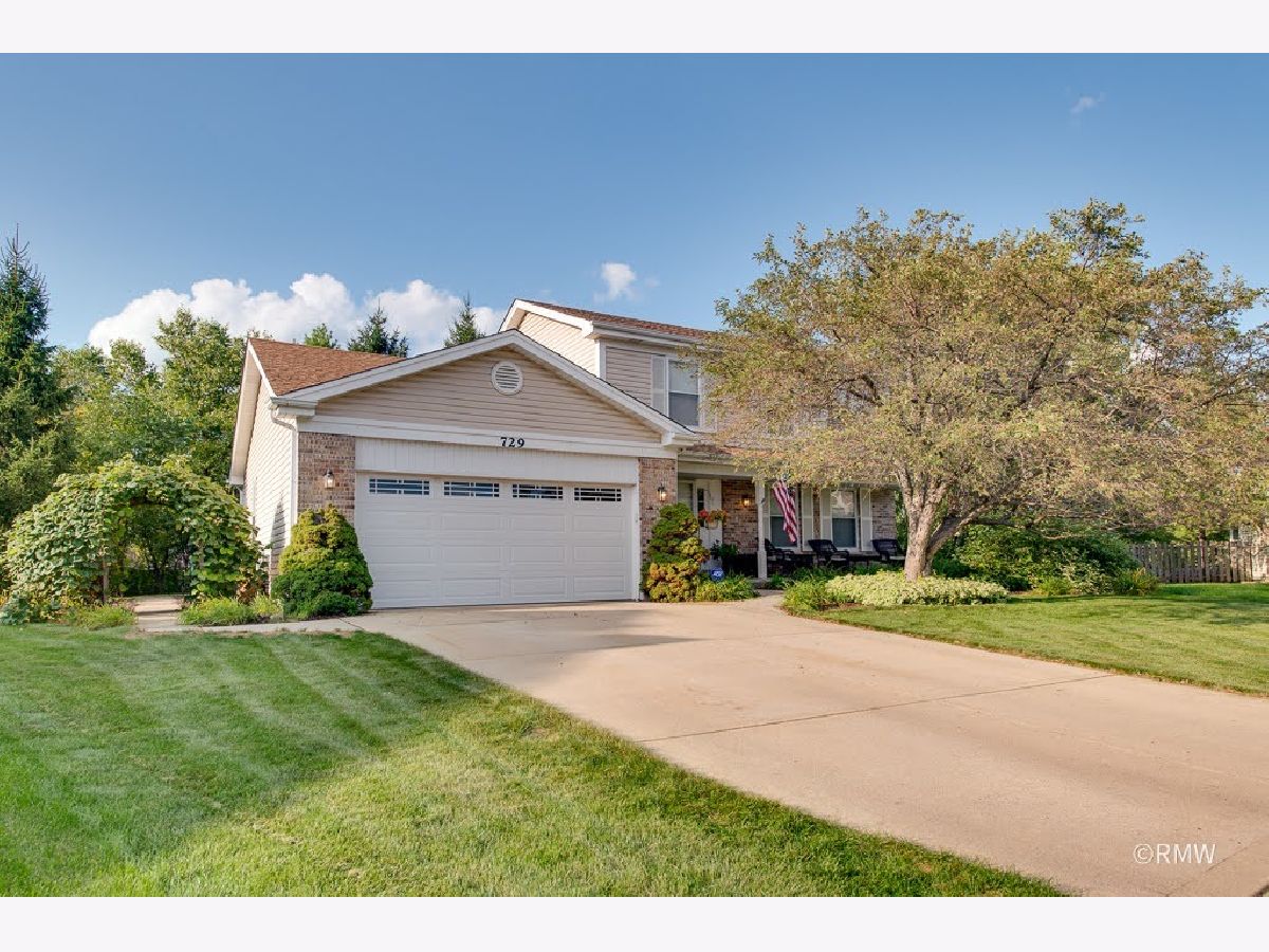  For Sale Schaumburg Illinois, 729 Cutters Mill Court