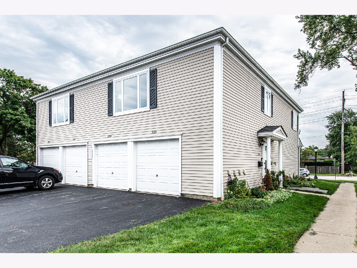 Townhomes & Condos For Sale Quincy Park Prospect Heights Illinois, 724 Old Willow Road