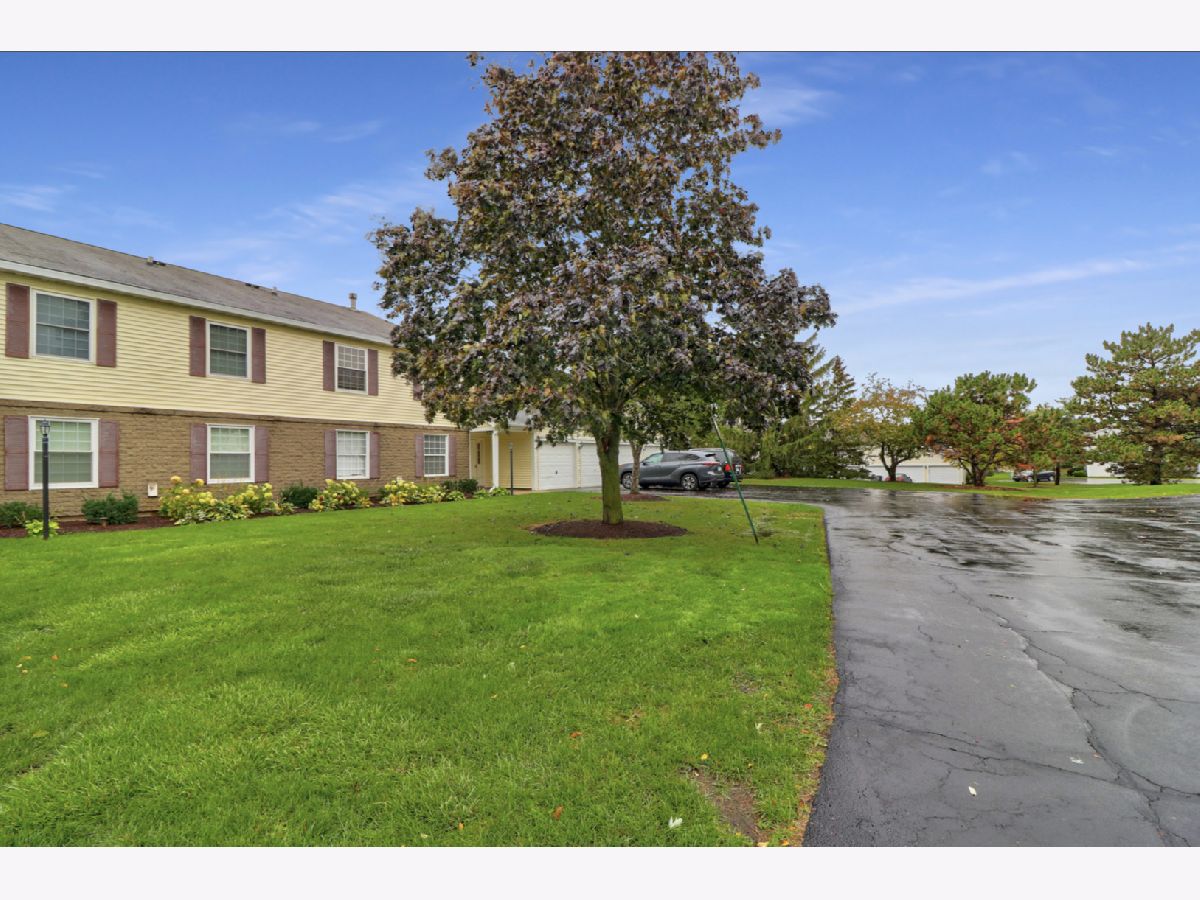  For Rent Bartlett Illinois, 673 Thorntree