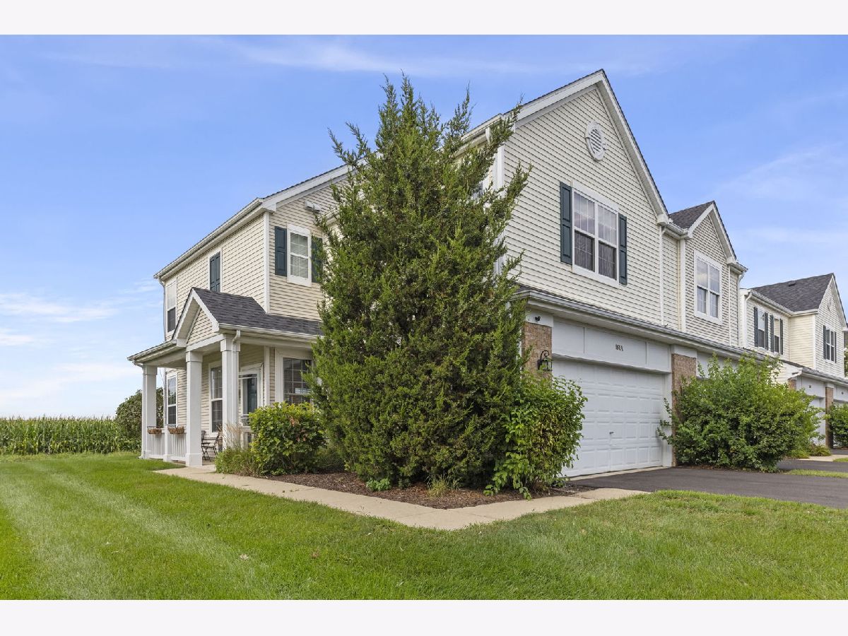Condos & Townhomes & Homes For Sale Bristol Bay Yorkville Illinois, 161 Willoughby Court