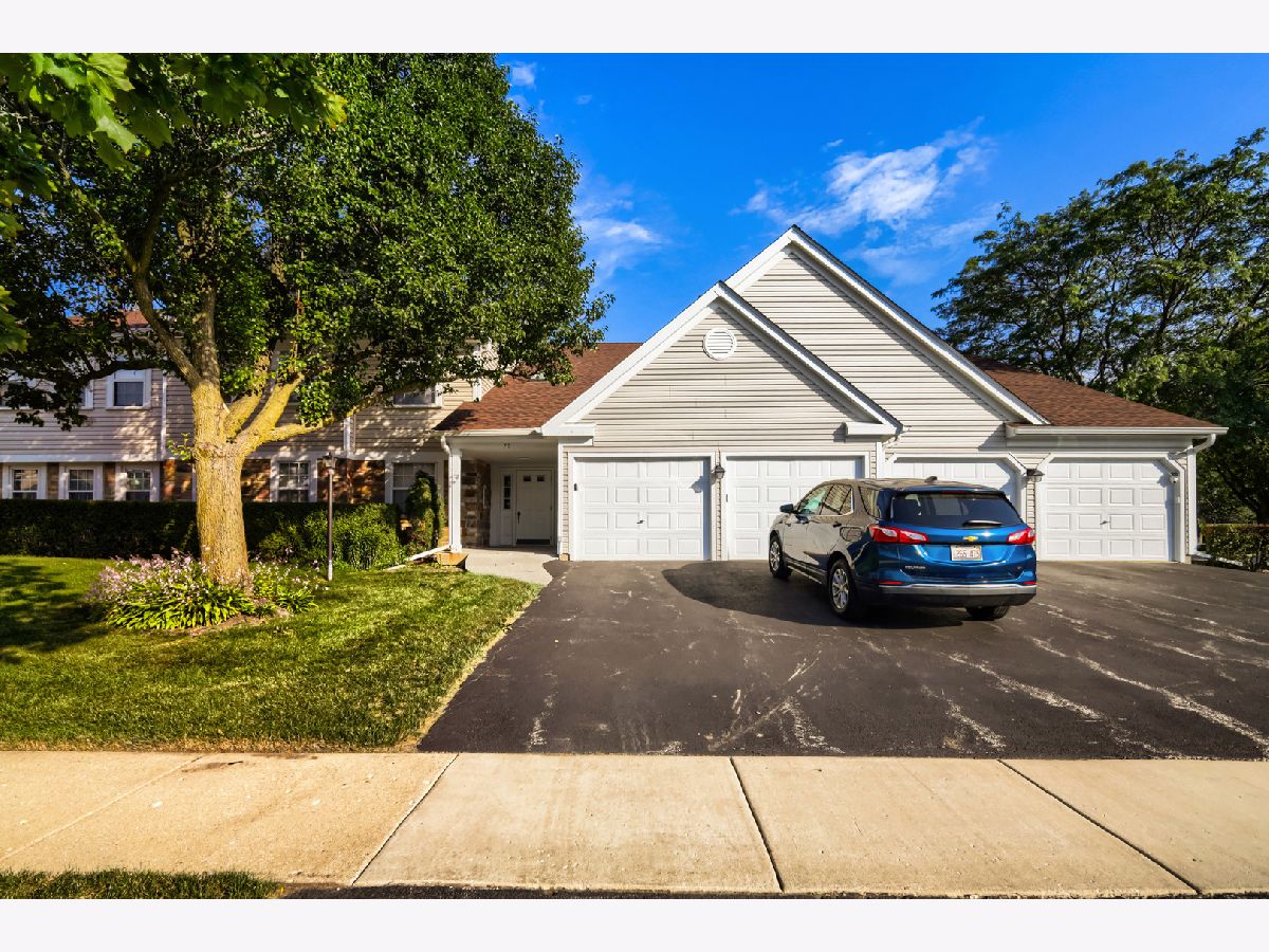 Townhomes & Condos For Sale Towne Place West Schaumburg Illinois, 75 Larch Court