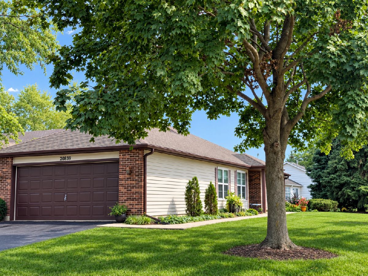 Townhomes & Condos & Homes For Sale Carillon Plainfield Illinois, 20839 Hickory Court