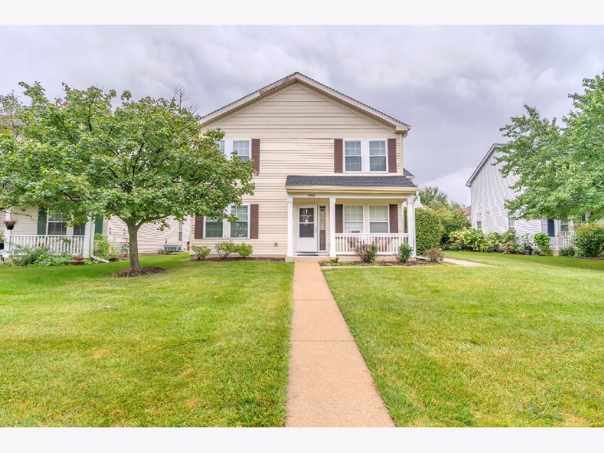Townhomes & Condos & Homes For Sale Ogden Falls Oswego Illinois, 354 Ogden Falls Boulevard