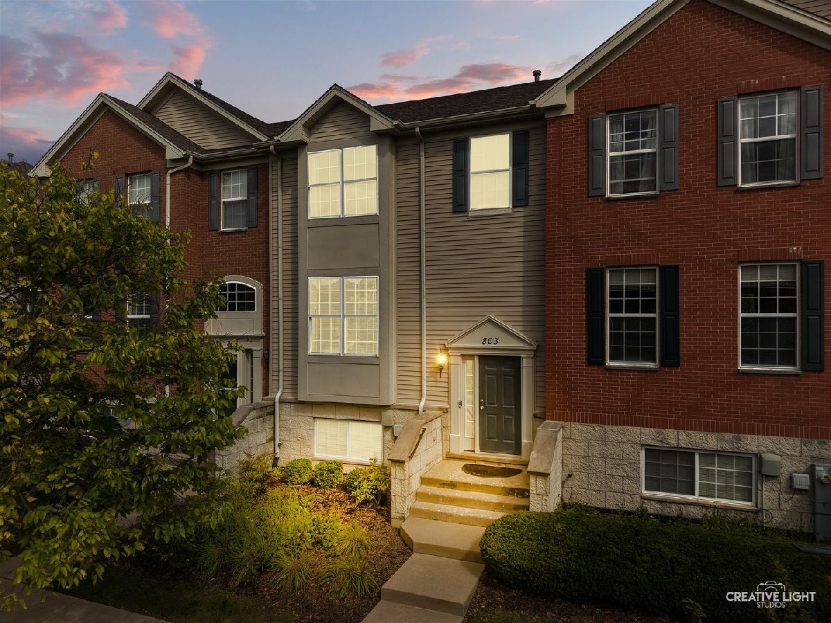  For Sale Aurora Illinois, 803 Brodhead Drive