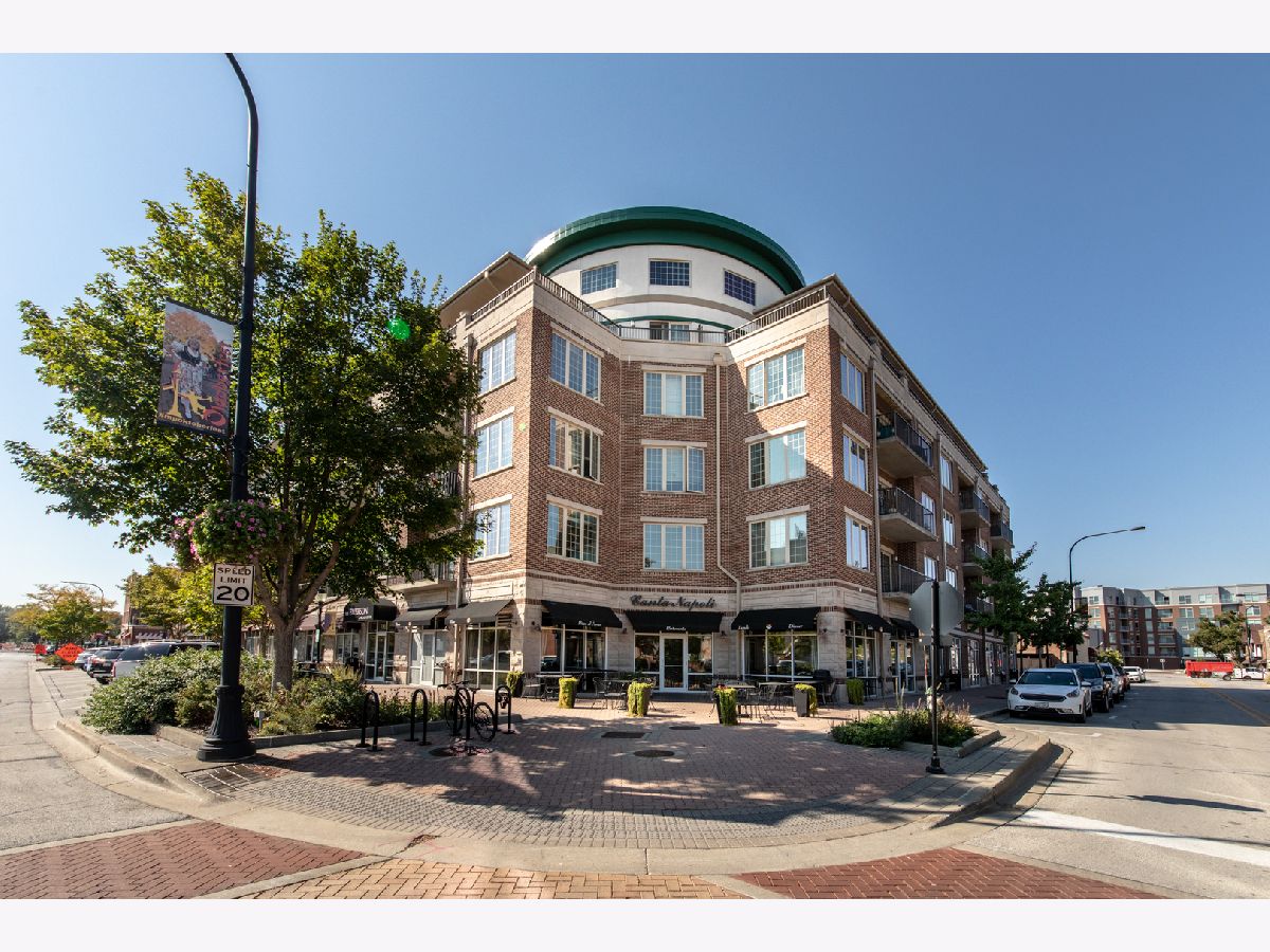 Condominiums For Sale The Emerson At Village Centre Mount Prospect Illinois, 100 Emerson Street