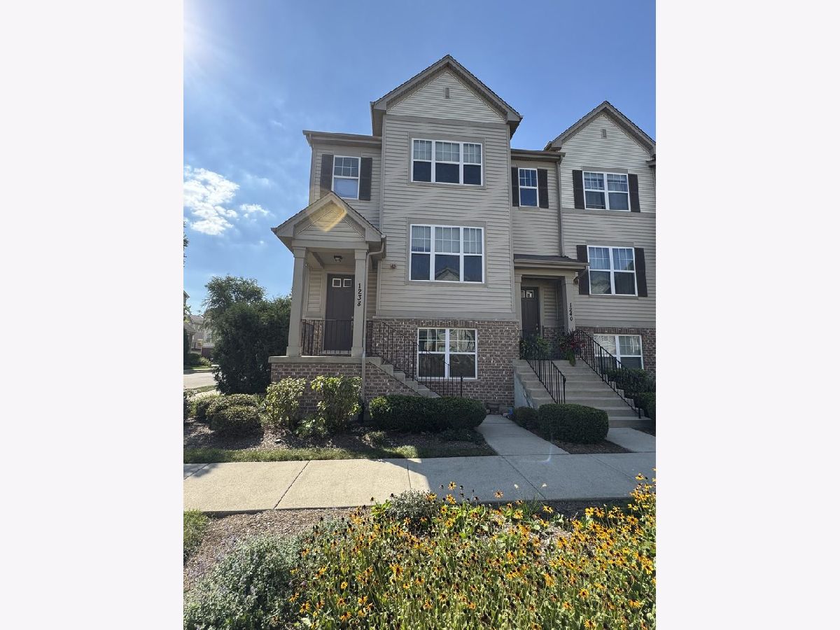  For Rent Des Plaines Illinois, 1238 Evergreen