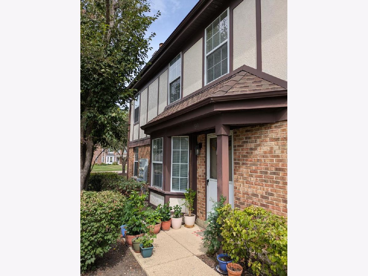  Rented Buffalo Grove Illinois, 199 Lawn