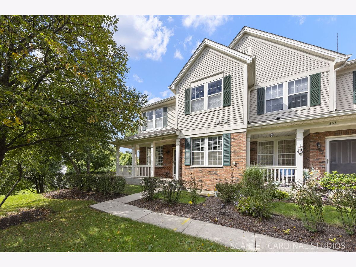 Townhomes For Sale Aragon Addison Illinois, 641 Moreland Avenue