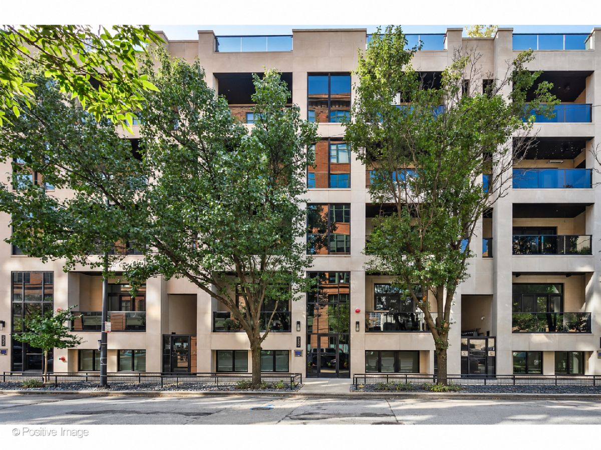  For Sale Chicago Illinois, 220 Green Street