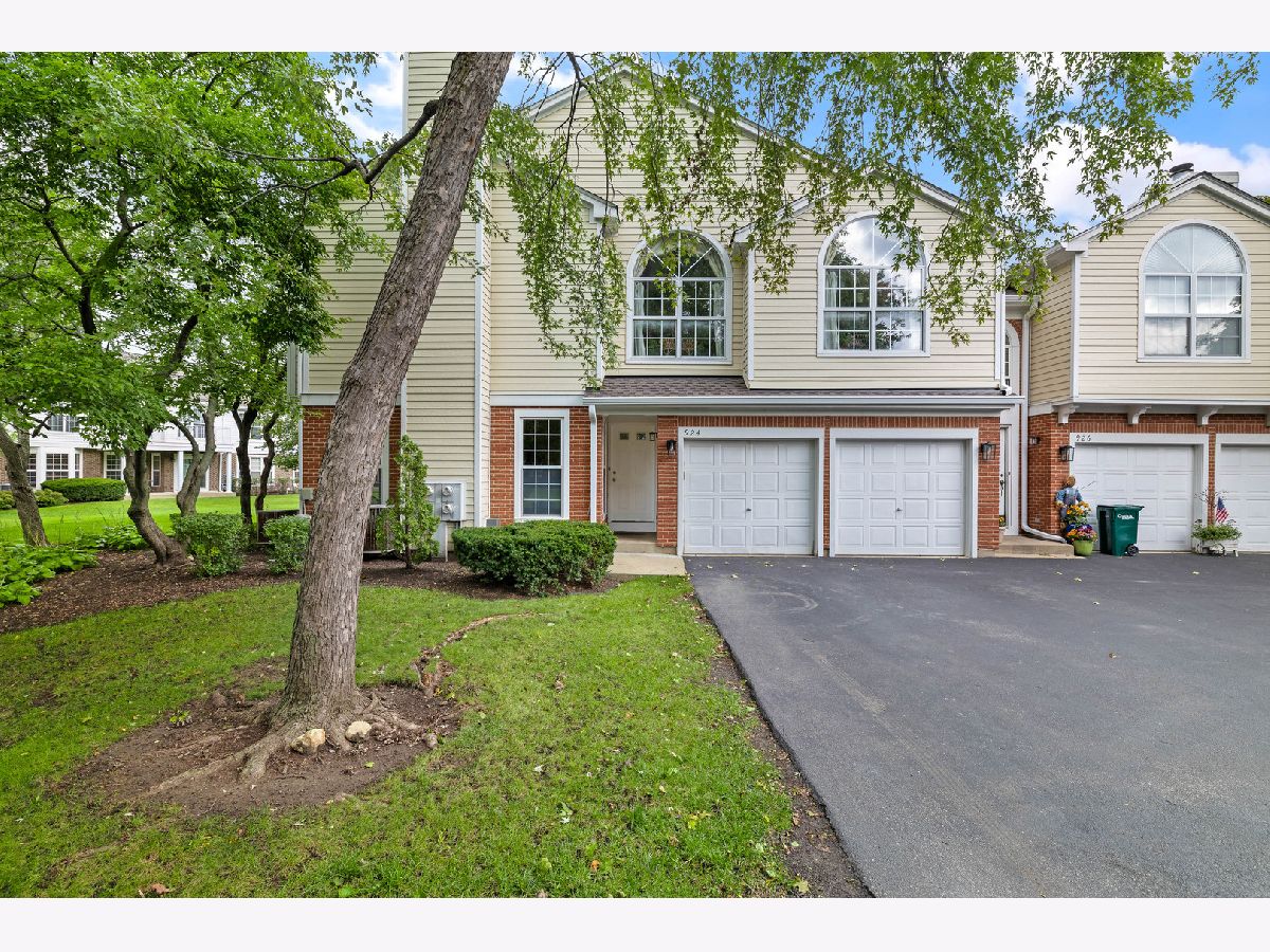 Townhomes & Condos For Sale Carriages Of Grosse Pointe Vernon Hills Illinois, 924 Ann Arbor Lane