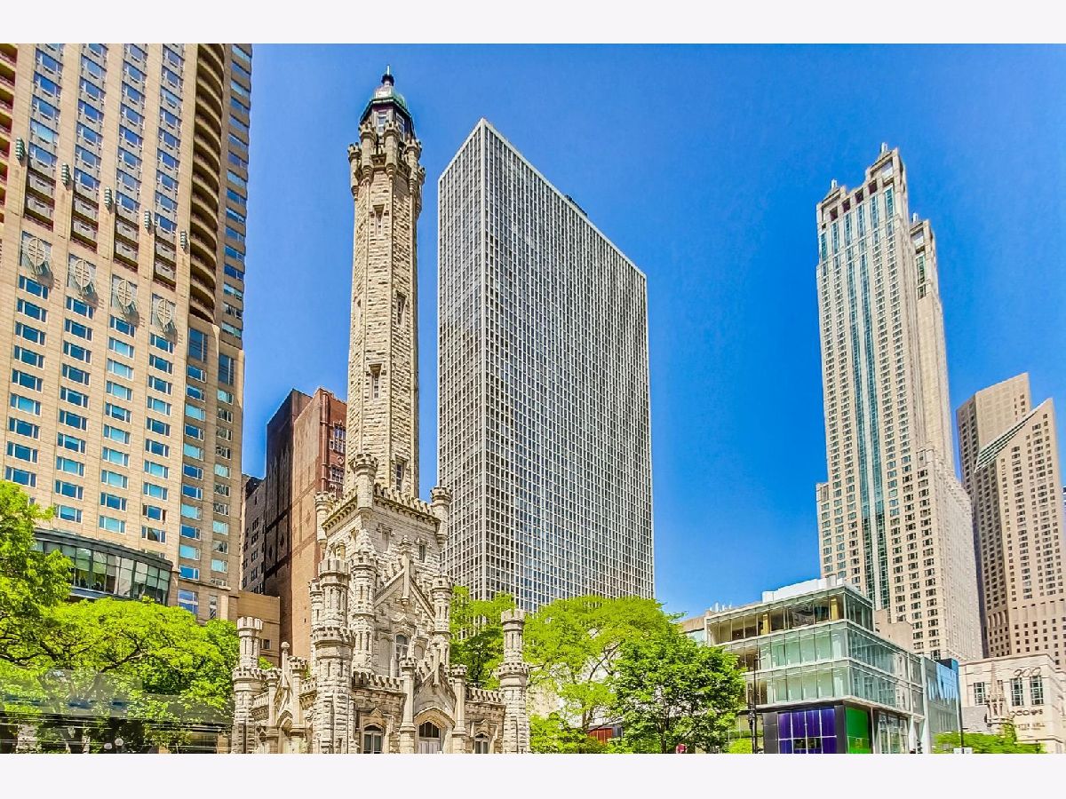 Condos & Townhomes For Rent Elysees Chicago Illinois, 111 Chestnut