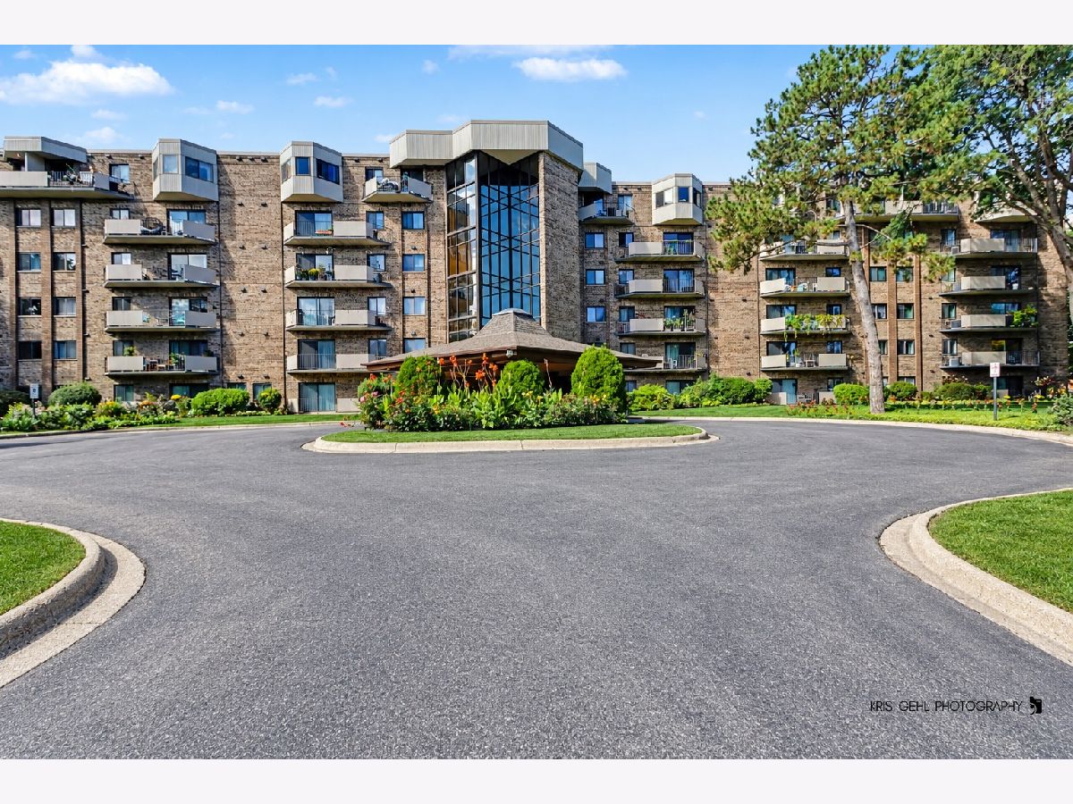 Condominiums For Sale San Tropai Palatine Illinois, 1243 Baldwin Lane