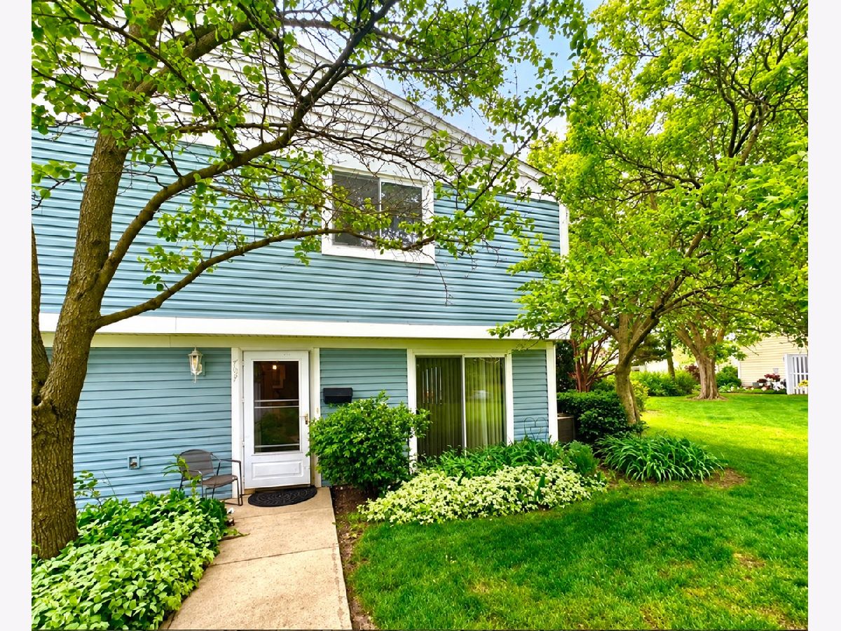 Townhomes & Condos For Rent Chelsea Cove Wheeling Illinois, 797 Coventry