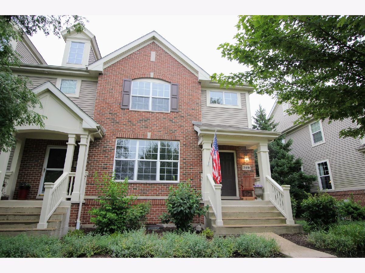  For Rent Bartlett Illinois, 349 Bradbury