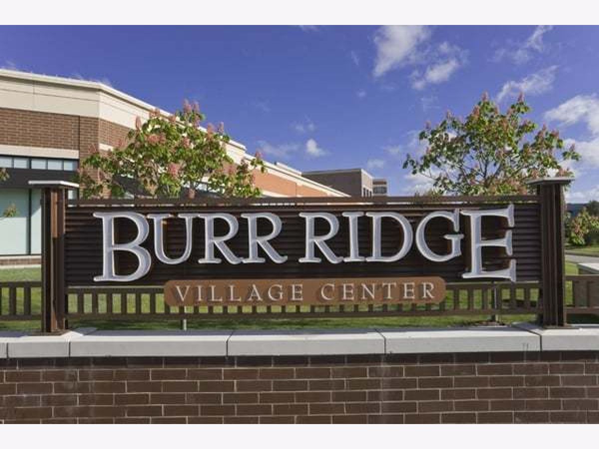  For Rent Burr Ridge Illinois, 801 Village Center