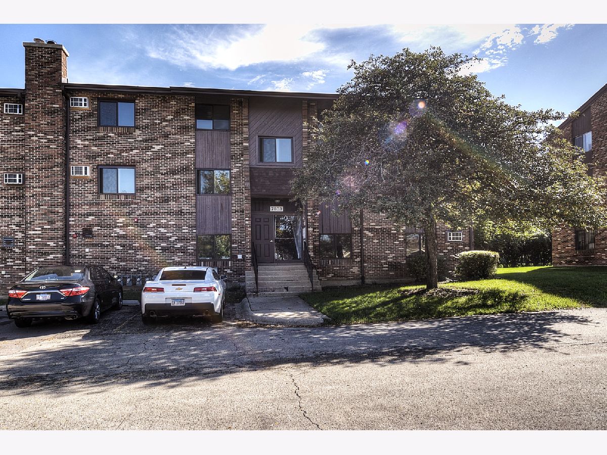  Rented Woodridge Illinois, 7803 Woodward