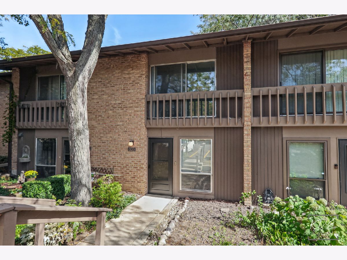 Condos & Townhomes For Rent Four Lakes Lisle Illinois, 5910 Meadow