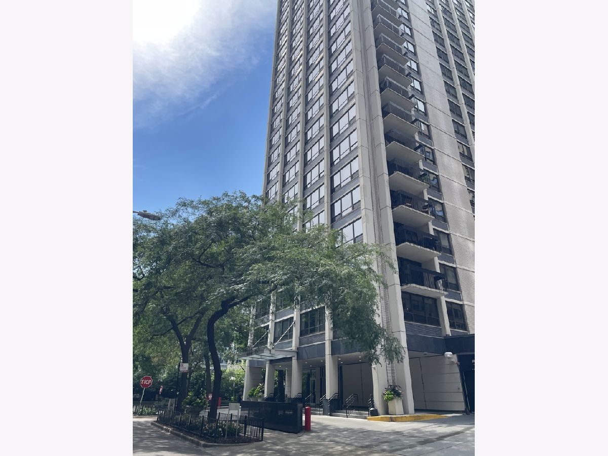 Condominiums For Rent Pearson On The Park Chicago Illinois, 222 Pearson