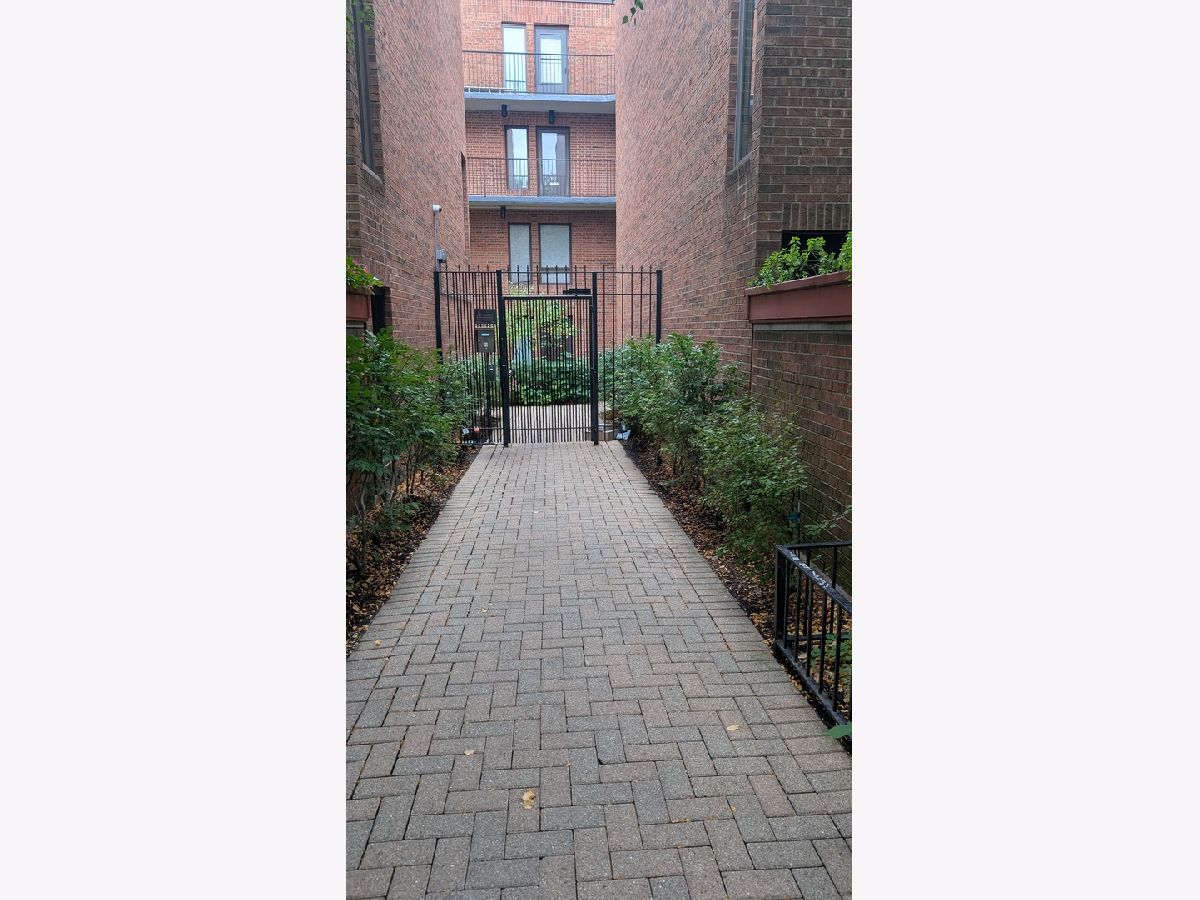  Rented Chicago Illinois, 415 Grant
