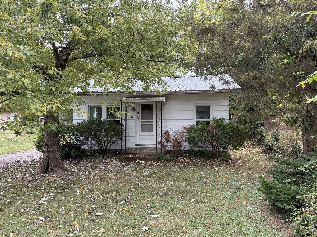  For Sale Carbondale Illinois, 715 James Street