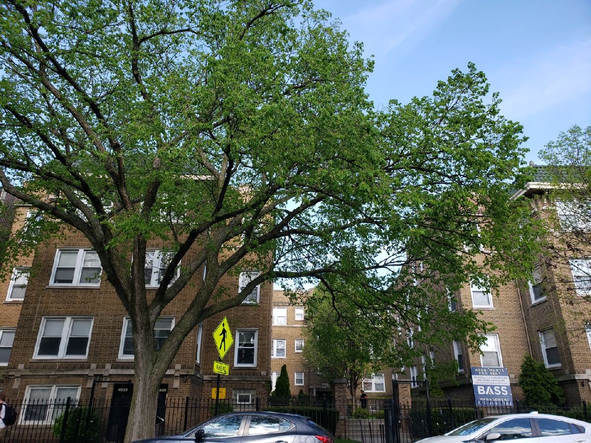  Rented Chicago Illinois, 4835 Kimball