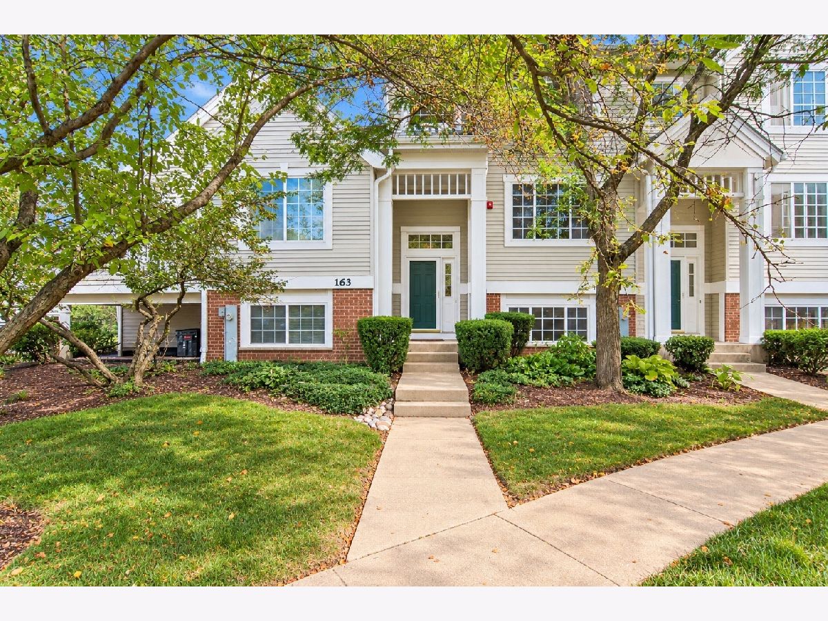  For Sale Wheeling Illinois, 163 Lucerne Court