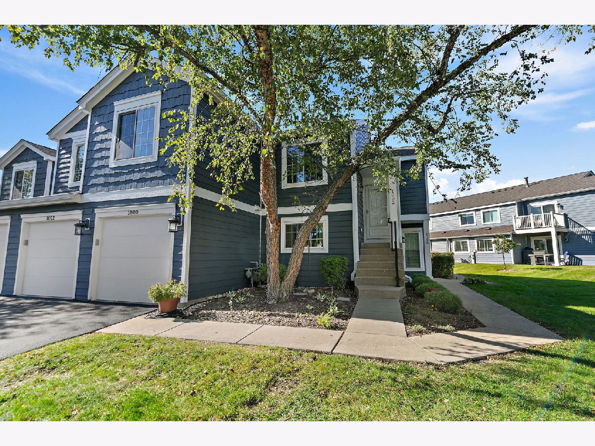 Townhomes & Condos & Homes For Sale Summit Place Schaumburg Illinois, 1002 Boston Circle