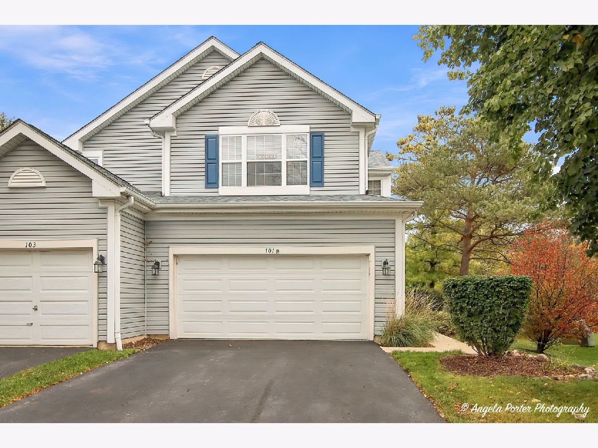 Townhomes & Condos For Sale North Star Lake In The Hills Illinois, 101 Northlight Passe
