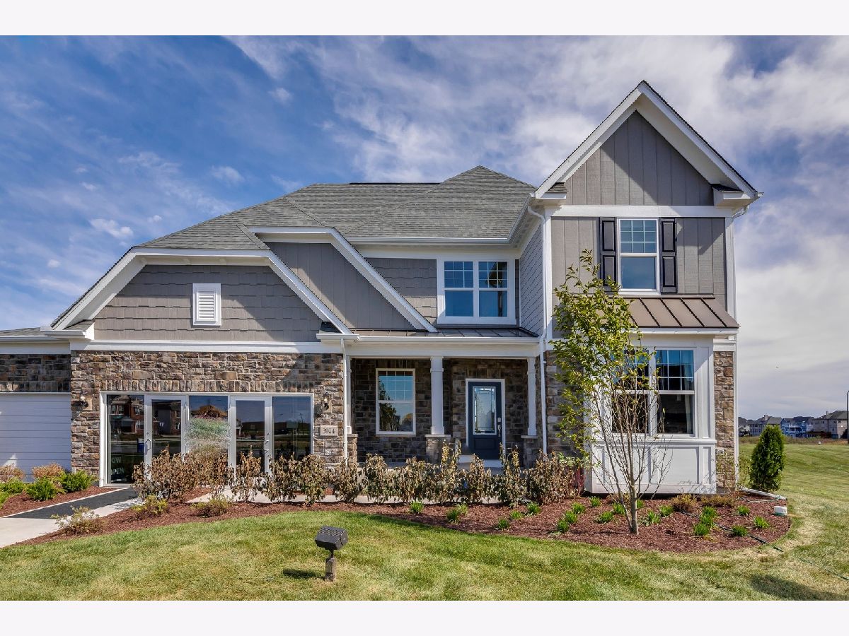 Homes For Sale Teerling Lakes New Lenox Illinois, 170 Foxtail Court