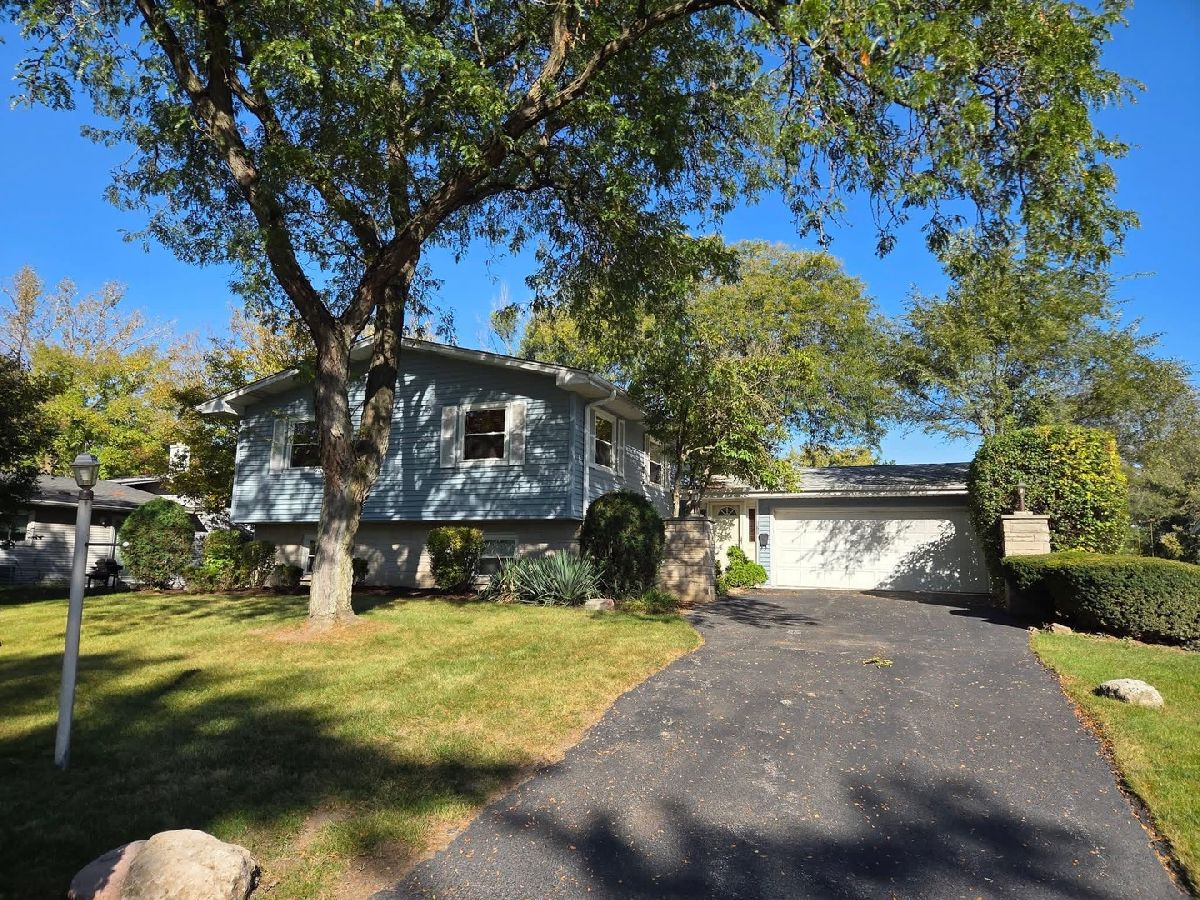 Homes & Townhomes For Sale Meadows Lisle Illinois, 568 59th Street