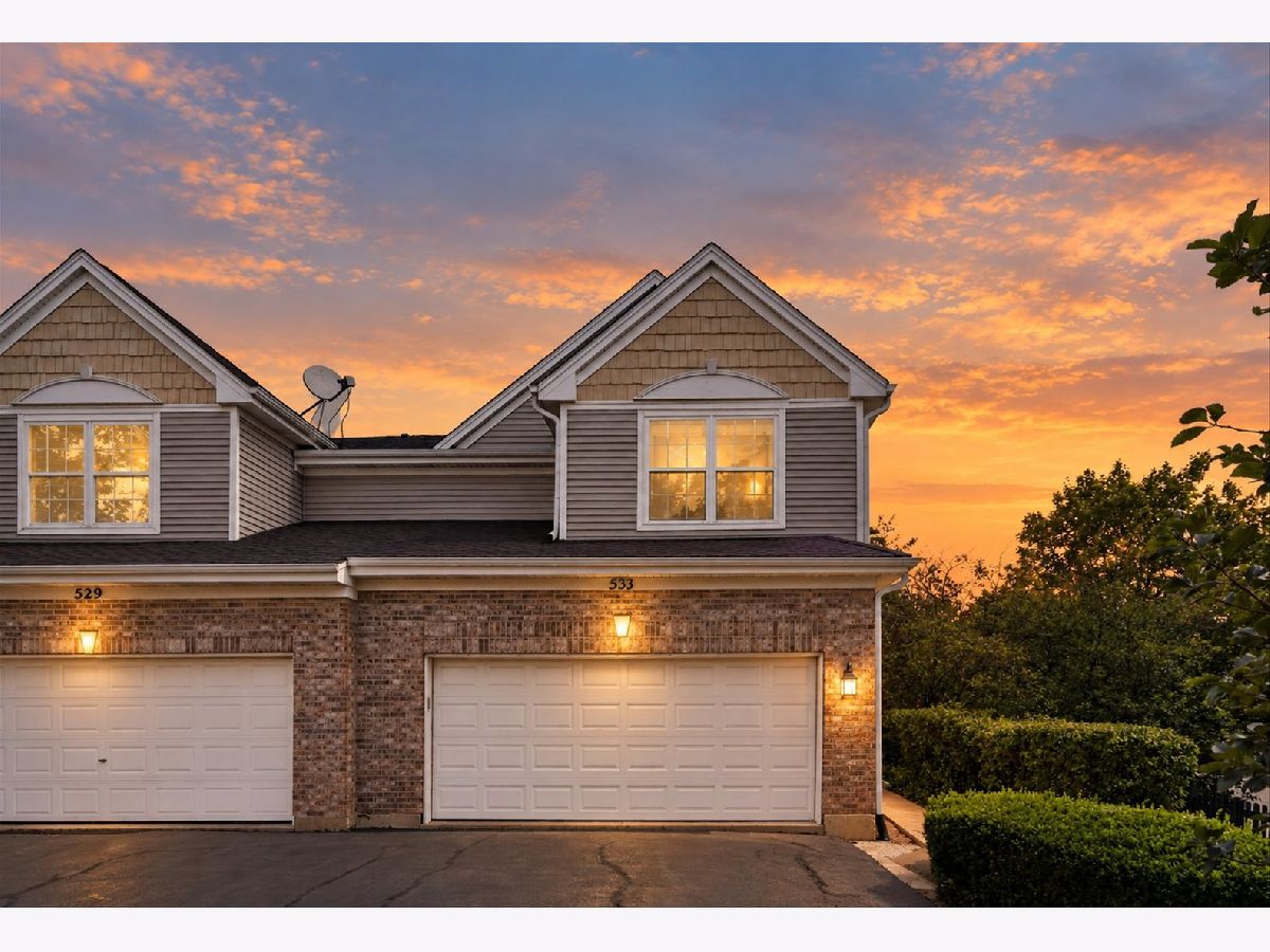 Townhomes & Homes For Rent Cherry Hill Schaumburg Illinois, 533 Cherry Hill