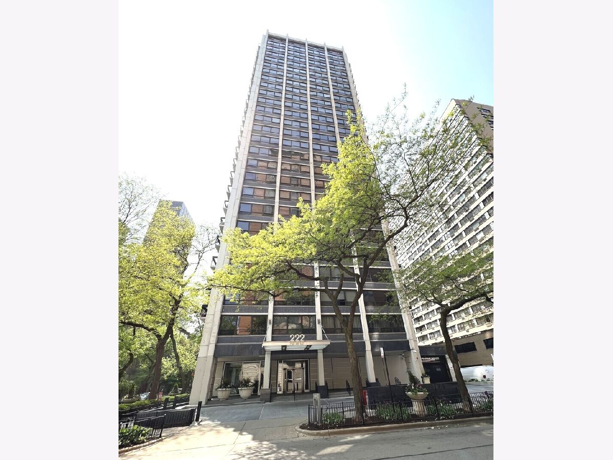  For Sale Chicago Illinois, 222 Pearson Street