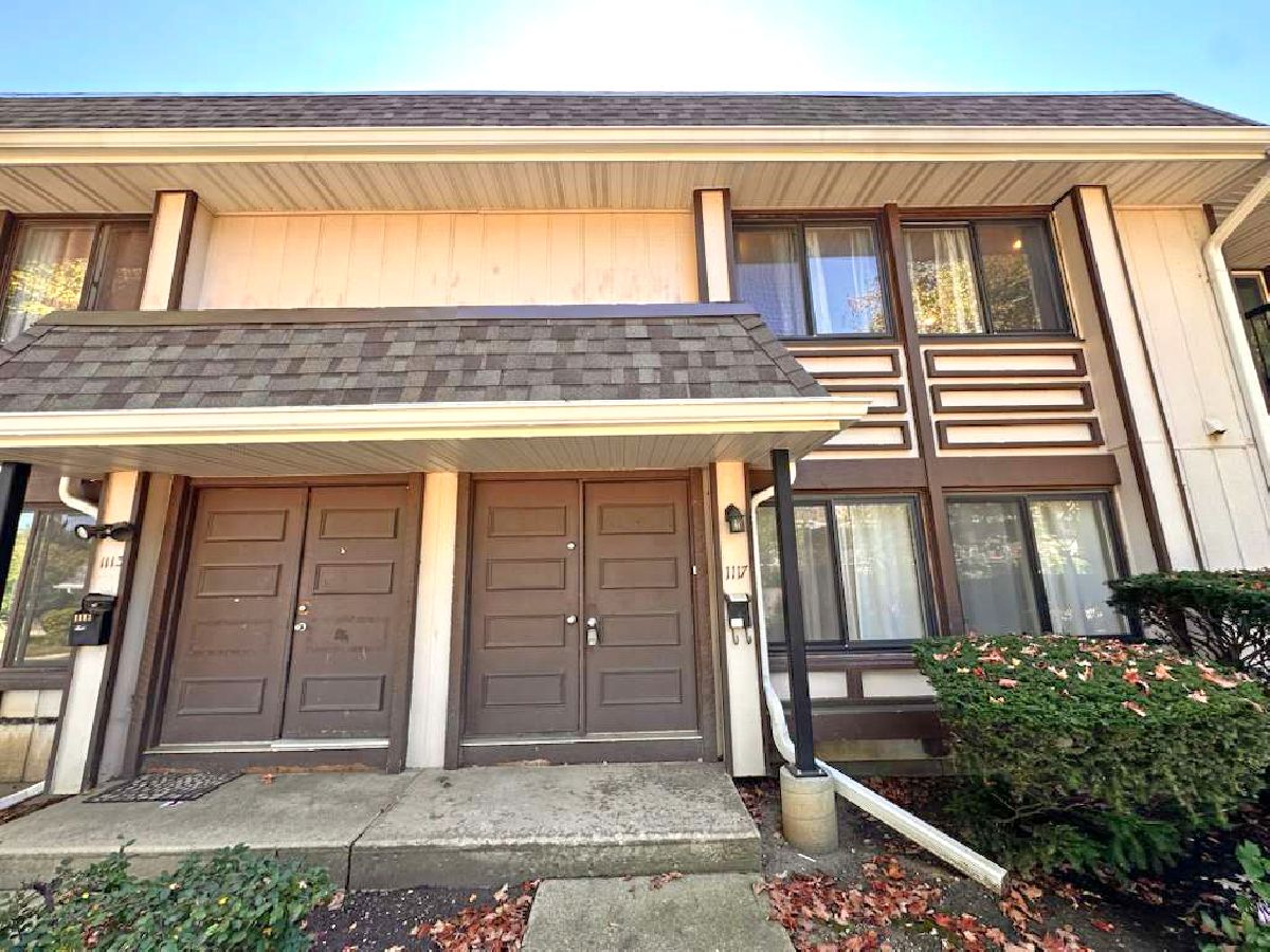  For Rent Hanover Park Illinois, 1117 Court B