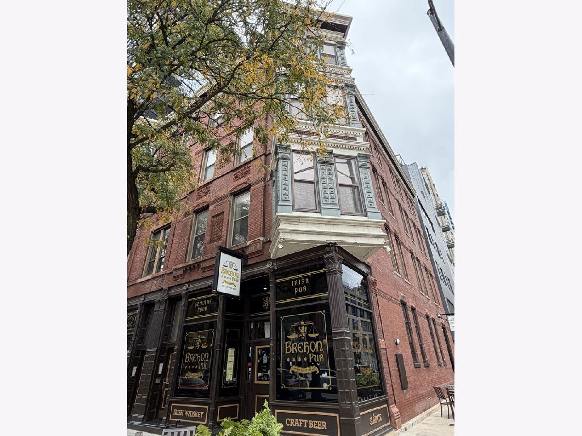  For Rent Chicago Illinois, 733 Wells