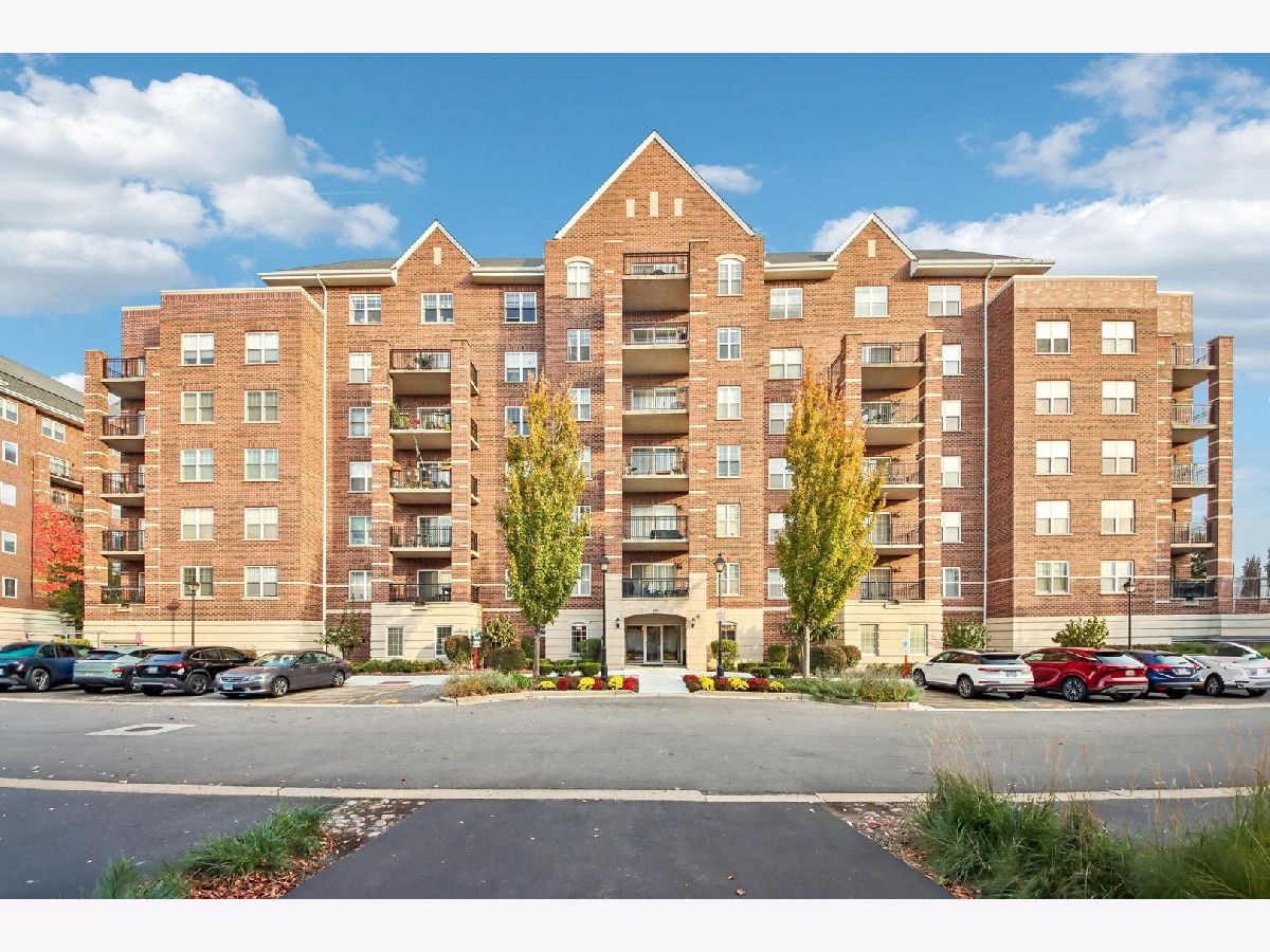  For Sale Palatine Illinois, 390 Mahogany Court