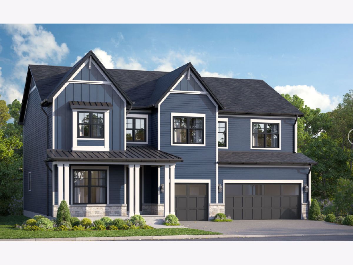 Homes For Sale Talon Preserve Downers Grove Illinois, 160 39th Street