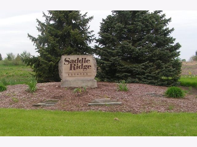 Saddle Ridge Estates Monee IL, Homes For Sale & For Rent | Sadie Winter Dana Cohen