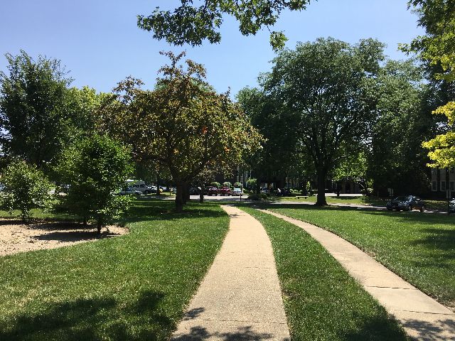 Sandpebble Walk Landscaping