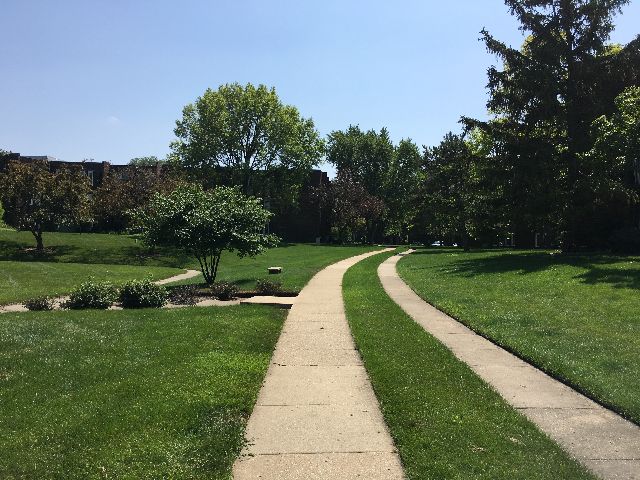 Sandpebble Walk Landscaping 2